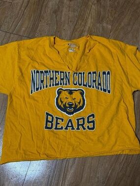 Champion Gold Northern Colorado Bears Graphic Tee